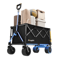 ELECTRIC WAGON
